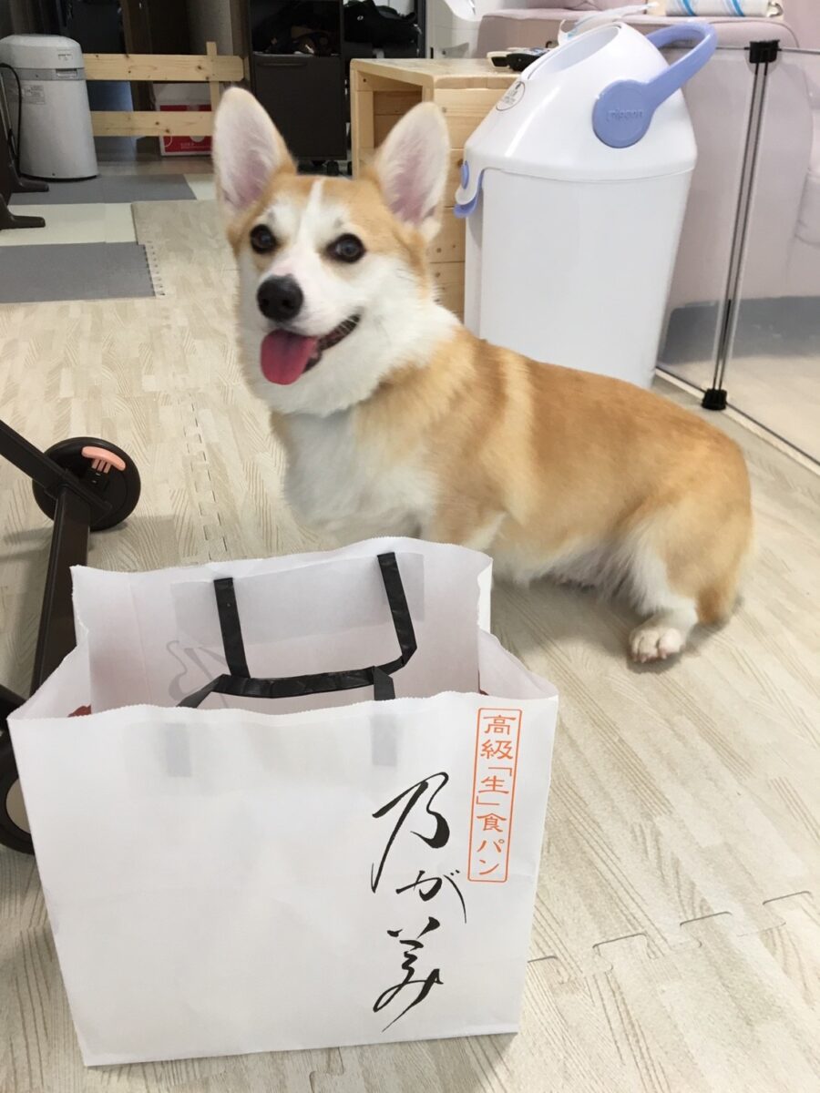 いい笑顔 むぎといっしょ